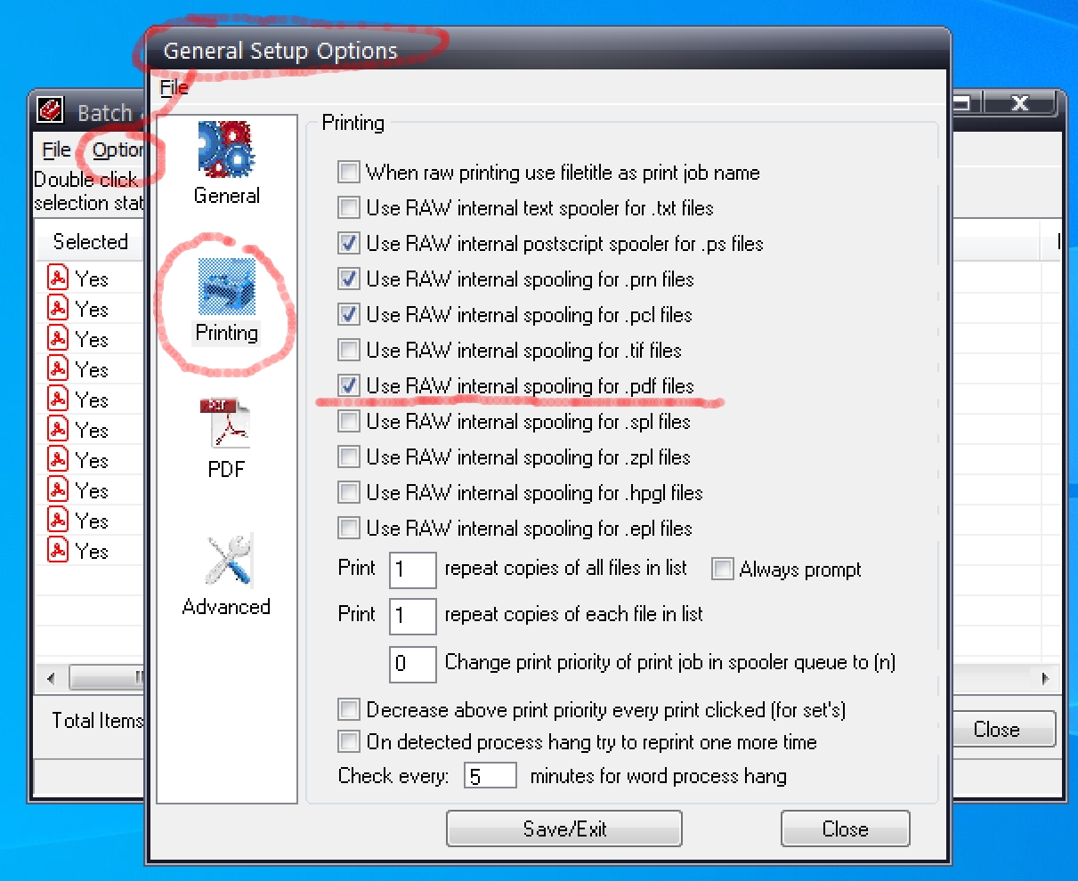 Batch & Print Pro - Print PDF's Directly to the Printer Option