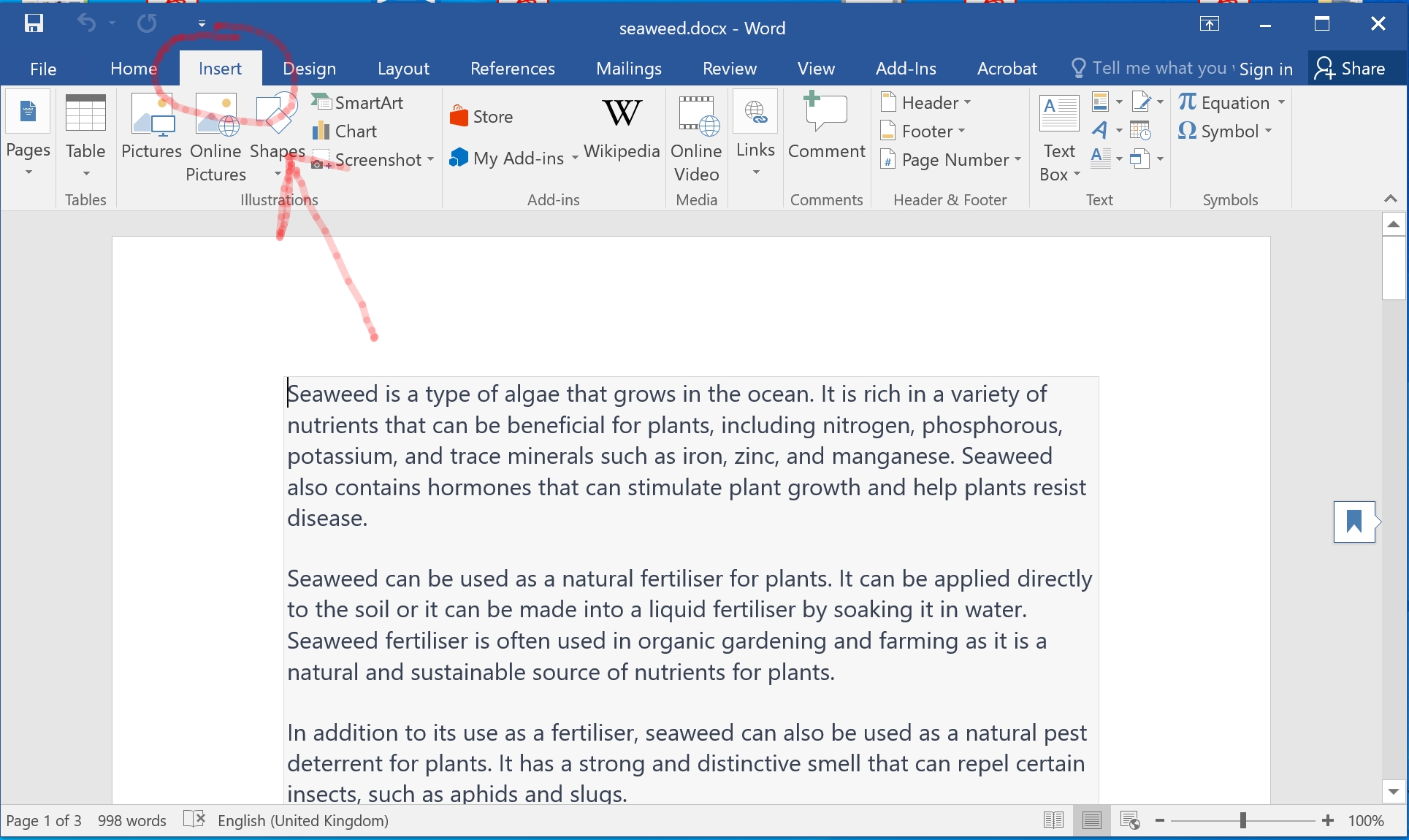 Page number word document, click insert