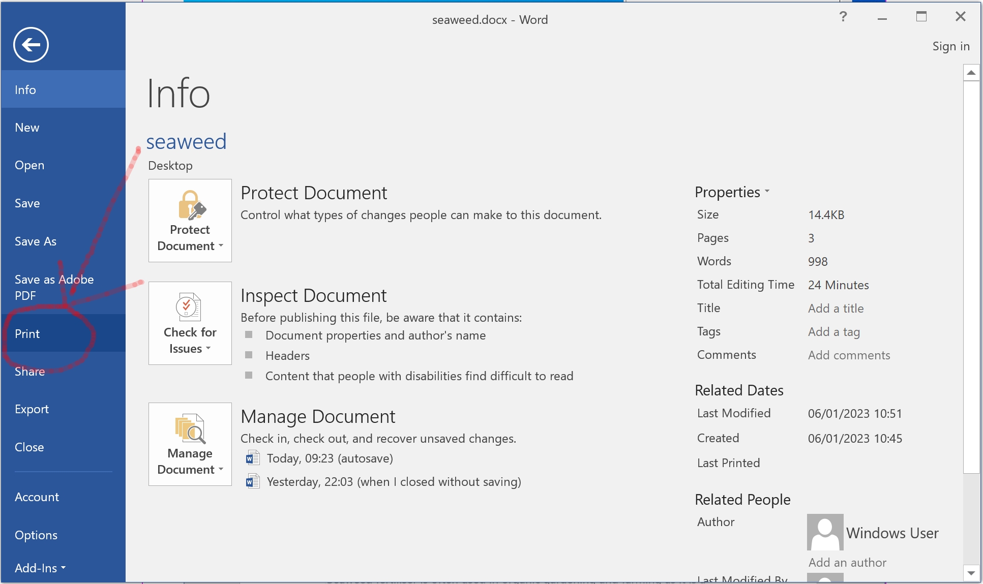 Print word document - printer settings