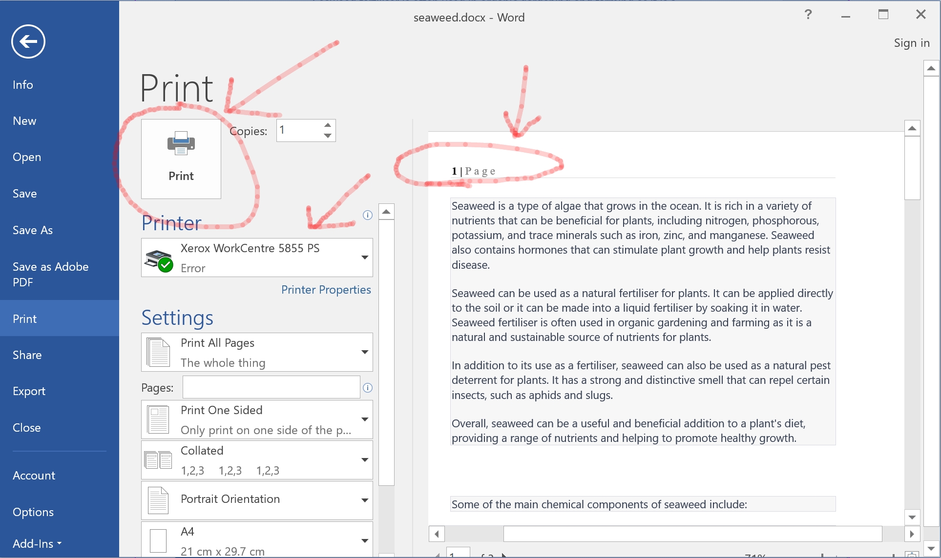 Print out from Microsoft Word with Page Numbers