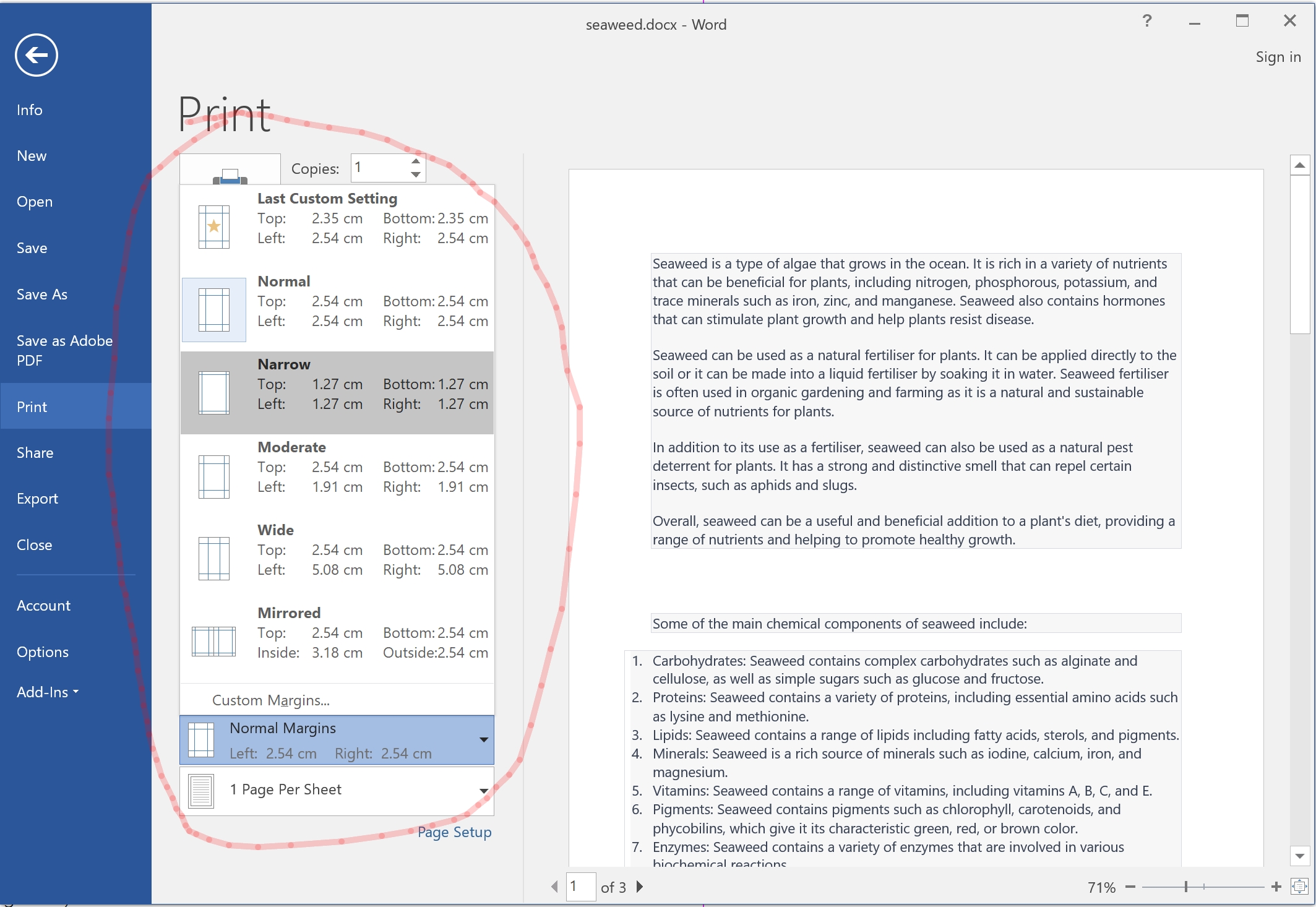 Set margins to print with in Microsoft Word