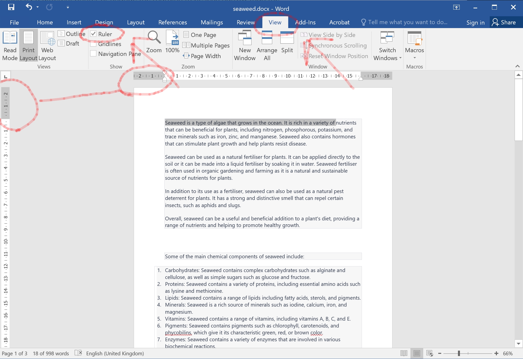 How to set custom margins in Microsoft Word with the Ruler