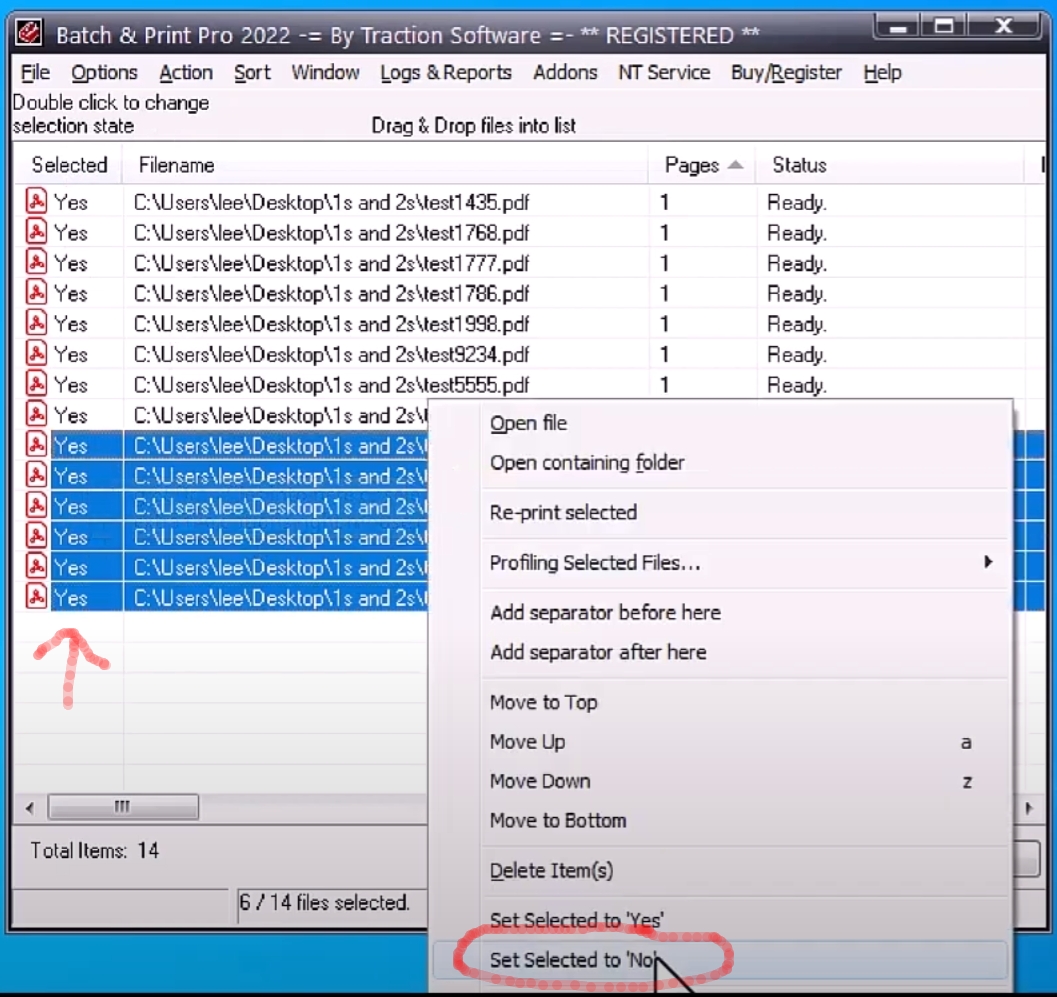 How to select whicj files to print in Batch & Print Pro