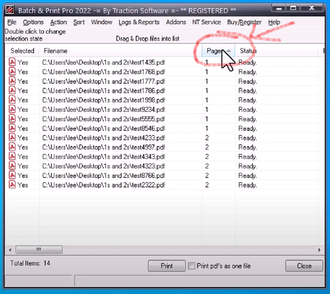 Batch Print Files - Sort on Page Count by Clicking Header